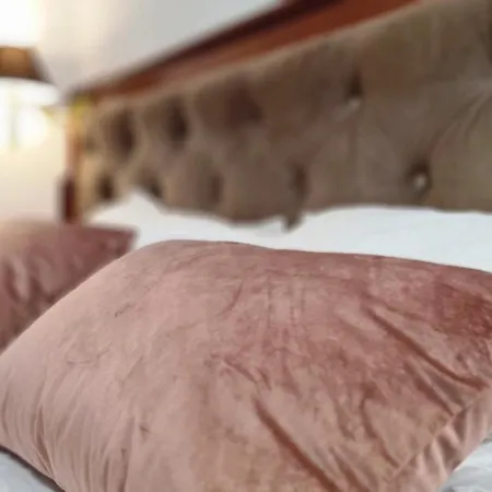 D&d 아파트 오파티아